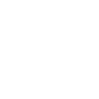 Regex Symmetra Logo